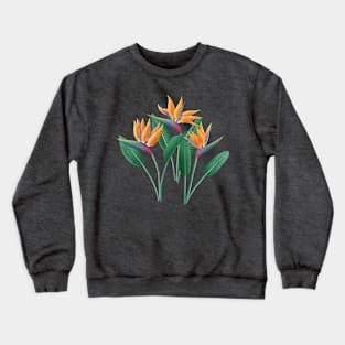 Bird of paradise Crewneck Sweatshirt